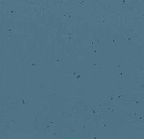 Линолеум Forbo Sphera Energetic 50204 deep sea фото 1 | FLOORDEALER